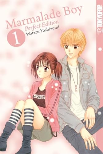 Beispielbild fr Marmalade Boy 01: Perfect Edition zum Verkauf von medimops