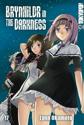 Beispielbild fr Brynhildr in the Darkness 17 zum Verkauf von Revaluation Books