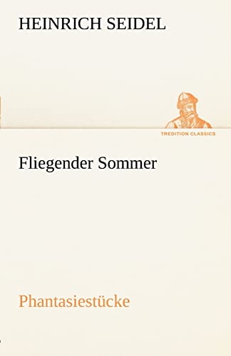 Fliegender Sommer (German Edition) (9783842413375) by Seidel, Heinrich