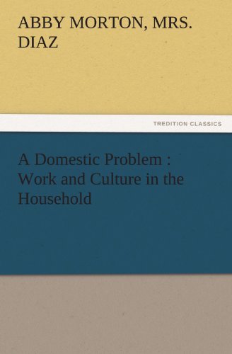 Stock image for A Domestic Problem: Work and Culture in the Household for sale by Ria Christie Collections