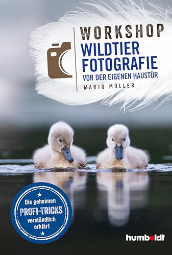 Stock image for Workshop Wildtierfotografie vor der eigenen Haustr for sale by GreatBookPrices