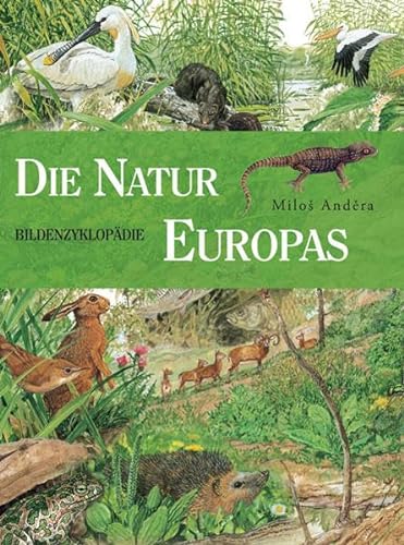 Beispielbild fr Die Natur Europas zum Verkauf von medimops