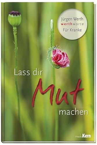 Lass dir Mut machen werthworte für Kranke (unbenutzt) - Jürgen Werth