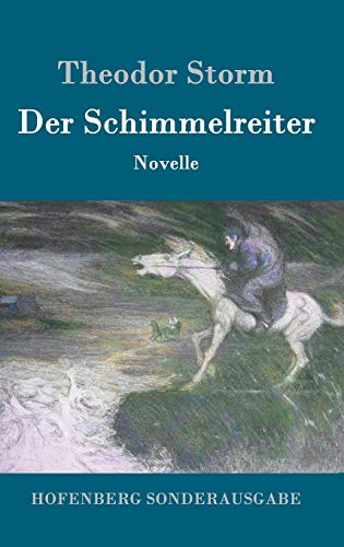 9783843015523: Der Schimmelreiter: Novelle