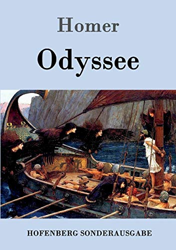 9783843015578: Odyssee (German Edition)