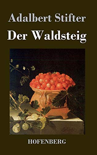 9783843020206: Der Waldsteig (German Edition)