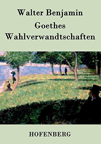 Stock image for Goethes Wahlverwandtschaften for sale by Chiron Media