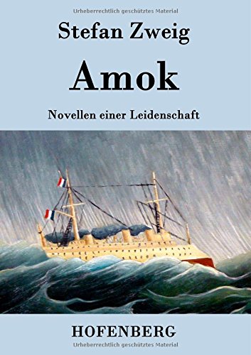 Imagen de archivo de Amok: Novellen einer Leidenschaft a la venta por medimops