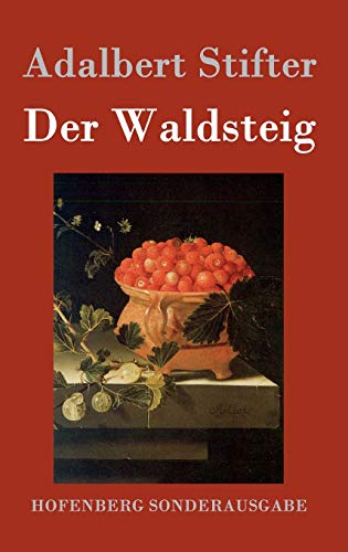 9783843076371: Der Waldsteig (German Edition)