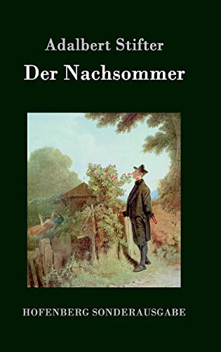 9783843076579: Der Nachsommer