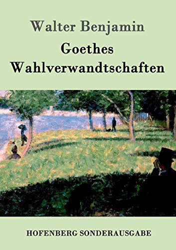Imagen de archivo de Goethes Wahlverwandtschaften (German Edition) a la venta por Lucky's Textbooks