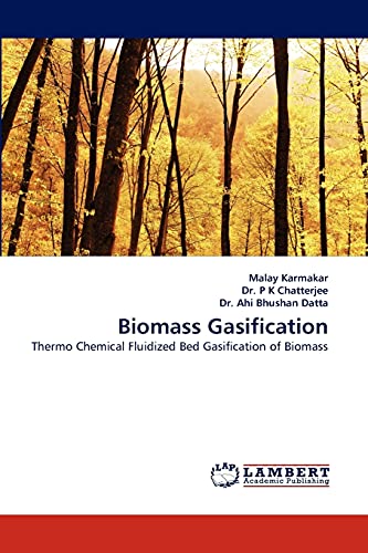 Beispielbild fr Biomass Gasification: Thermo Chemical Fluidized Bed Gasification of Biomass. zum Verkauf von Kulturgutrecycling Christian Bernhardt