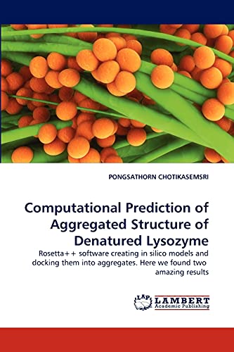 Imagen de archivo de Computational Prediction of Aggregated Structure of Denatured Lysozyme a la venta por Ria Christie Collections
