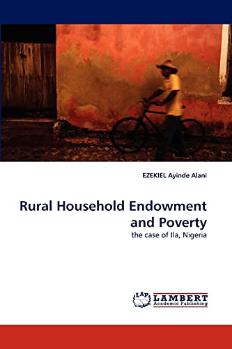 Imagen de archivo de Rural Household Endowment and Poverty a la venta por Chiron Media