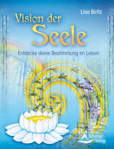 Beispielbild fr Vision der Seele: Entdecke deine Bestimmung im Leben zum Verkauf von medimops