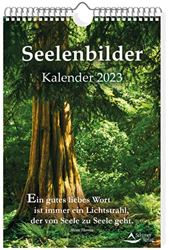 Beispielbild fr Seelenbilder-Kalender 2023: Wandkalender zum Verkauf von medimops