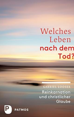 Stock image for Welches Leben nach dem Tod? Reinkarnation und christlicher Glaube. for sale by Buchparadies Rahel-Medea Ruoss