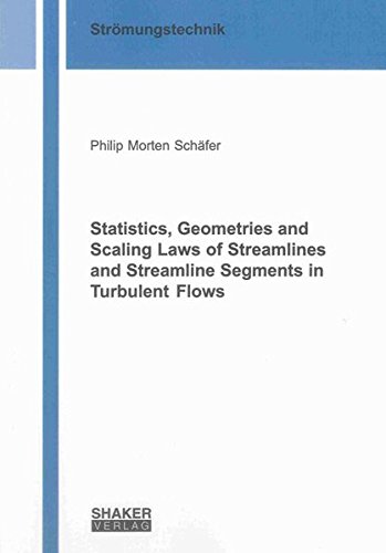 9783844018448: Statistics, Geometries and Scaling Laws of Streamlines and Streamline Segments in Turbulent Flows (Berichte aus der Stromungstechnik)