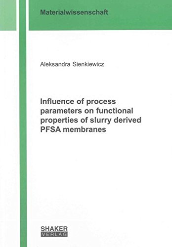 9783844019063: Influence of Process Parameters on Functional Properties of Slurry Derived PFSA Membranes