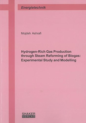 9783844020311: Hydrogen-Rich Gas Production Through Steam Reforming of Biogas: Experimental Study and Modelling (Berichte aus der Energietechnik)