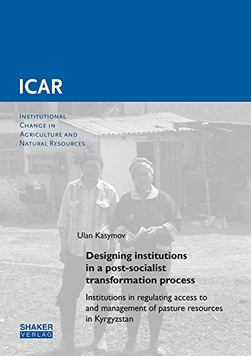 9783844047349: Designing Institutions in a Post-Socialist Transformation Process: Institutions in Regulating Access to and Management of Pasture Resources in Kyrgyzstan