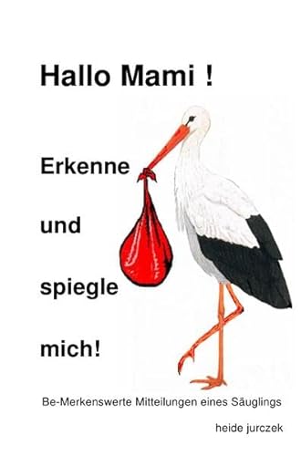 9783844247640: Hallo Mami! - Erkenne und spiegle mich: Be-Merkenswerte Mitteilungen eines Suglings - Jurczek, Heide