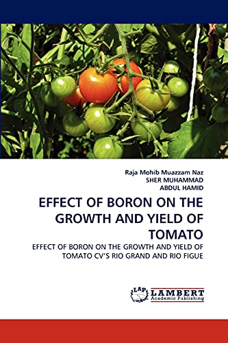 EFFECT OF BORON ON THE GROWTH AND YIELD OF TOMATO: EFFECT OF BORON ON THE GROWTH AND YIELD OF TOMATO CV'S RIO GRAND AND RIO FIGUE (9783844307009) by Mohib Muazzam Naz, Raja; MUHAMMAD, SHER; HAMID, ABDUL