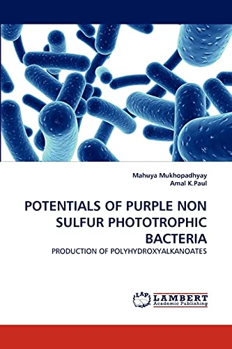 Imagen de archivo de POTENTIALS OF PURPLE NON SULFUR PHOTOTROPHIC BACTERIA: PRODUCTION OF POLYHYDROXYALKANOATES a la venta por Lucky's Textbooks