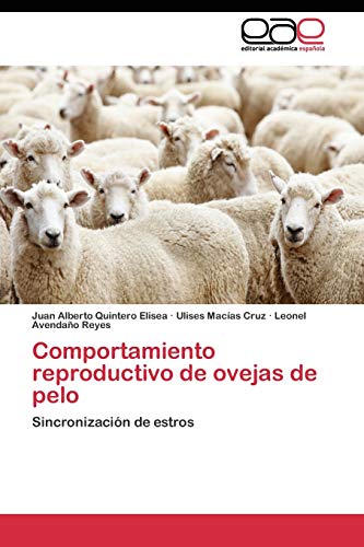 Stock image for Comportamiento reproductivo de ovejas de pelo: Sincronizacin de estros (Spanish Edition) for sale by Lucky's Textbooks