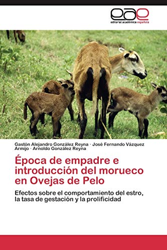 Beispielbild fr poca de empadre e introduccin del morueco en Ovejas de Pelo: Efectos sobre el comportamiento del estro, la tasa de gestacin y la prolificidad (Spanish Edition) zum Verkauf von Lucky's Textbooks