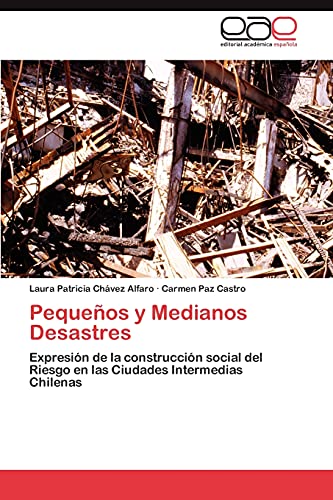 Stock image for Pequeos y Medianos Desastres: Expresin de la construccin social del Riesgo en las Ciudades Intermedias Chilenas (Spanish Edition) for sale by Lucky's Textbooks