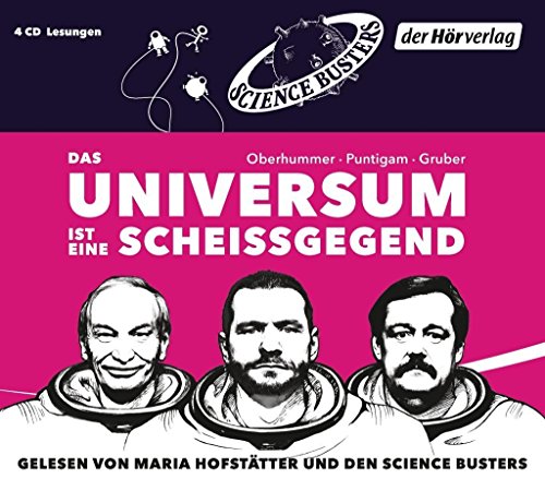 Imagen de archivo de Das Universum ist eine Scheigegend a la venta por medimops