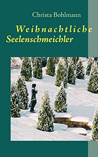 Imagen de archivo de Weihnachtliche Seelenschmeichler:Fantastische Kurzgeschichten a la venta por Ria Christie Collections