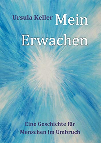 Stock image for Mein Erwachen:Eine Geschichte fur Menschen im Umbruch for sale by Chiron Media