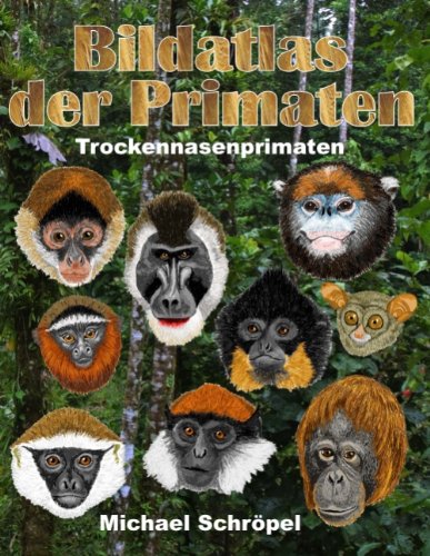 9783844813609: Bildatlas der Primaten: Trockennasenprimaten