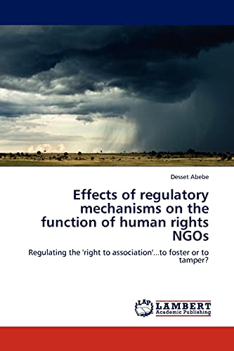Stock image for Effects of Regulatory Mechanisms on the Function of Human Rights Ngos for sale by Chiron Media