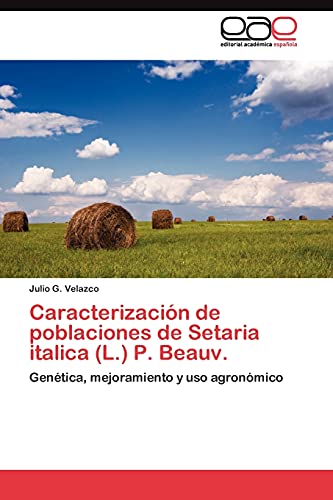 9783845480978: Caracterizacin de poblaciones de Setaria italica (L.) P. Beauv.: Gentica, mejoramiento y uso agronmico (Spanish Edition)