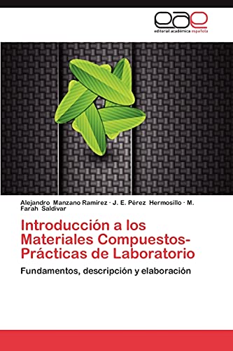 Imagen de archivo de Introduccin a los Materiales Compuestos-Prcticas de Laboratorio: Fundamentos, descripcin y elaboracin (Spanish Edition) a la venta por Lucky's Textbooks