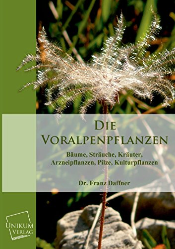 Stock image for Die Voralpenpflanzen (German Edition) for sale by Lucky's Textbooks