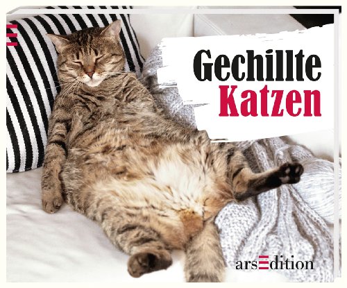 Beispielbild fr Gechillte Katzen zum Verkauf von medimops