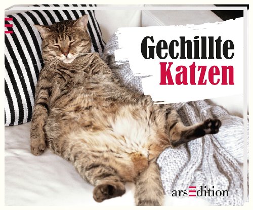 Stock image for Gechillte Katzen for sale by medimops