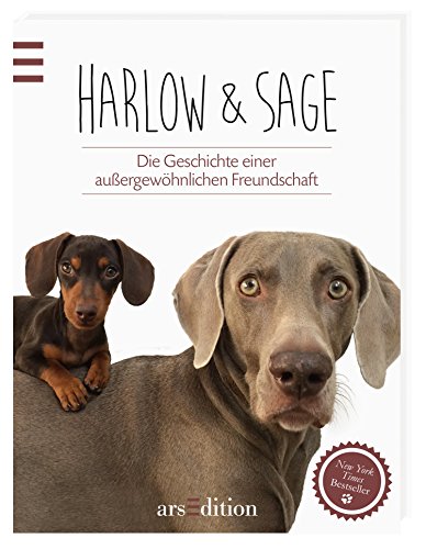 Beispielbild fr Harlow & Sage: Die Geschichte einer auergewhnlichen Freundschaft zum Verkauf von Buchmarie