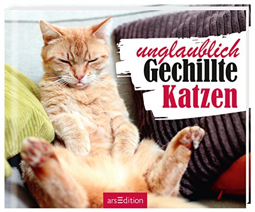 Beispielbild fr Einfach mal abschalten: Unglaublich Gechillte Katzen zum Verkauf von medimops