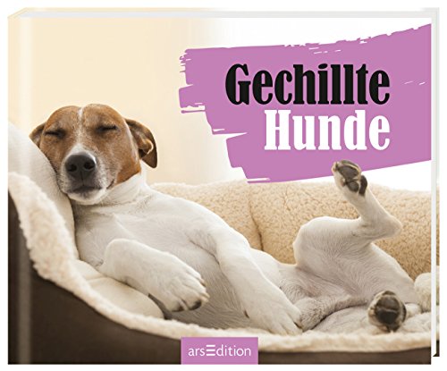 Beispielbild fr Gechillte Hunde zum Verkauf von medimops