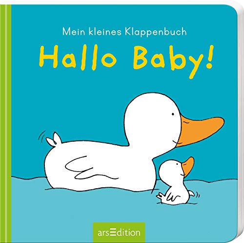 Beispielbild fr Hallo Baby!: Mein kleines Klappenbuch zum Verkauf von medimops