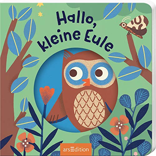 Stock image for Hallo, kleine Eule for sale by ThriftBooks-Atlanta
