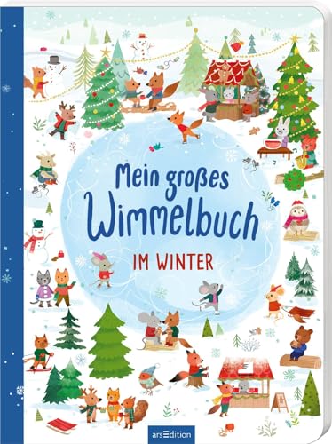 Stock image for Mein groes Wimmelbuch - Im Winter for sale by medimops