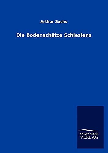 Stock image for Die Bodenschätze Schlesiens for sale by Ria Christie Collections