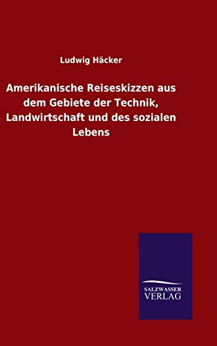 9783846070703: Amerikanische Reiseskizzen aus dem Gebiete der Technik, Landwirtschaft und des sozialen Lebens