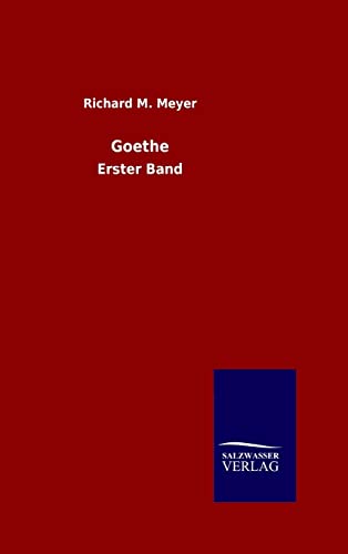 9783846079195: Goethe: Erster Band